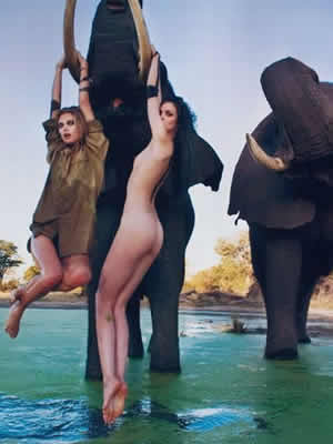 adventure in africa